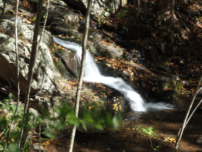 On the Doyle River trail