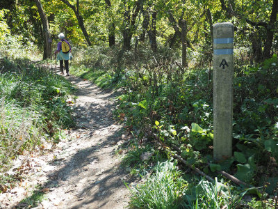 Marker on the trail in the park