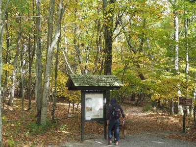 Display at a trail head