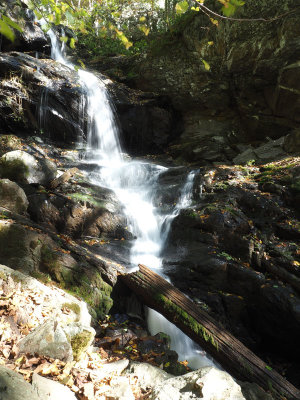 Lower Doyle's River Falls