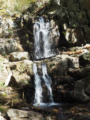 g12/55/529055/3/172100835.L2zCeVJF.jpg