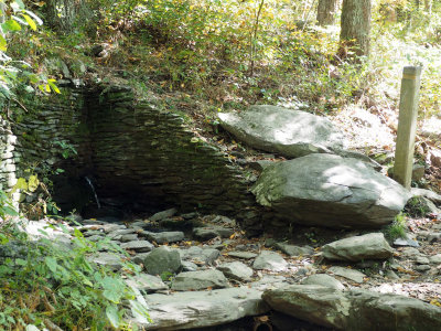 The Spring on the mountain where Doyles river begins
