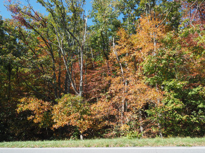Turning of the colors on the Skyline Drive
