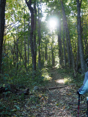 An uphill climb early on the trail to Hightop summit