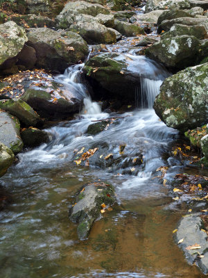 A section of Dark Hollow Falls