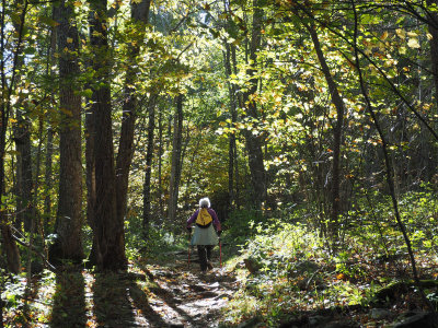 On the Appalachian Trail to Hightop Summit
