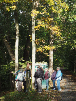 An group of people learning to identify the forest growth