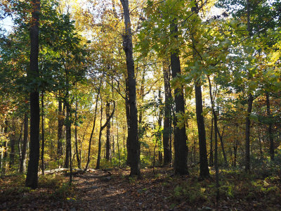 On the trail in Sugarloaf