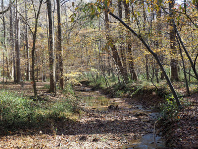 Crossing a stream in Seneca State Park