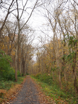 Nov 14th - The trail near Sycamore Landing
