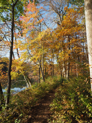 On the trail beside Clopper Lake