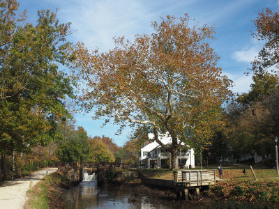 The Tavern at Great Falls