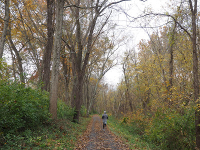 The trail near Sycamore Landing