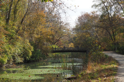Bridge at Angler Inn