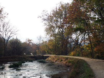 Lock 17 at Great Falls in the early morning