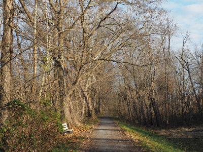 Nov 28th - The trail at Whites Ferry