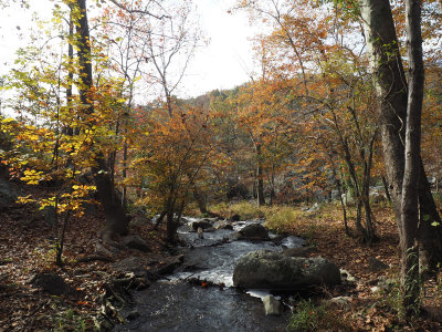 Crossing a stream on the Billy Goat Trail