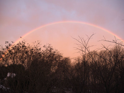 01/09/2022: The rainbow in the backyard