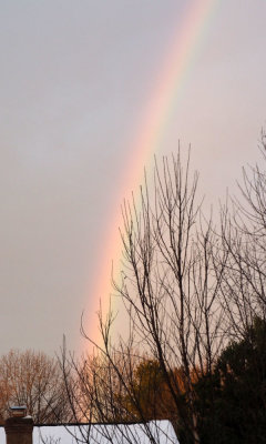 01/09/2022: The rainbow in the backyard