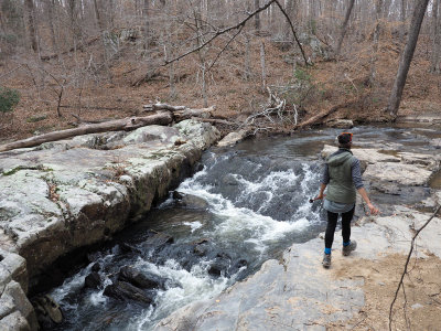 South Fork Quantico Creek