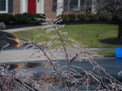 A wet winter morning