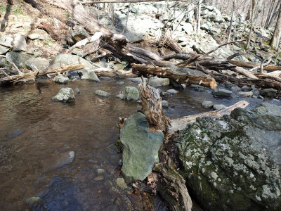 A stream crossing on Ceder Run