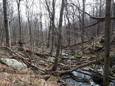 Ceder Run flows down the hillside