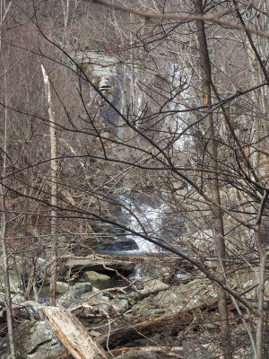 Waterfall through the trees