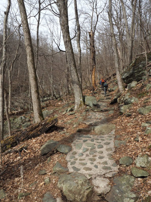 Section of Whiteoak Canyon Trail