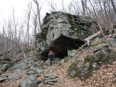 On the Whiteoak Canyon Trail