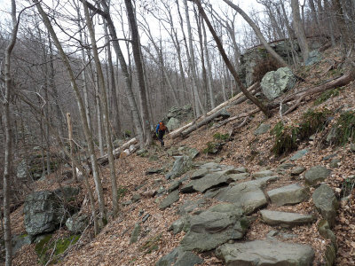 On the Whiteoak Canyon Trail