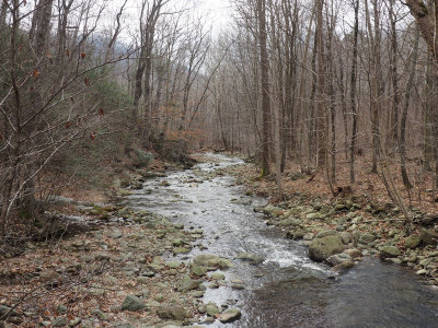 A section of the Robinson river