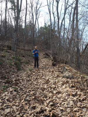 Leaves cover the Sam's Ridge Trail