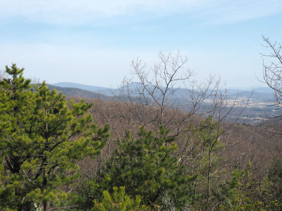 A view from along the ridge on White Rocks Trail