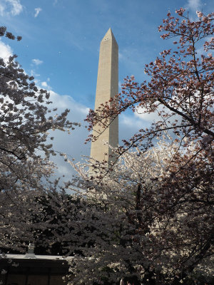 The Washington Monument