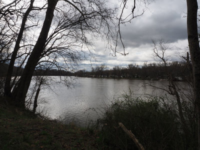 The river in the morning