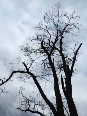 Under a cloudy sky