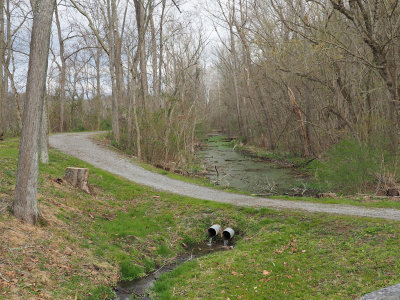 Trail crosses the old canal bed at Lock 46