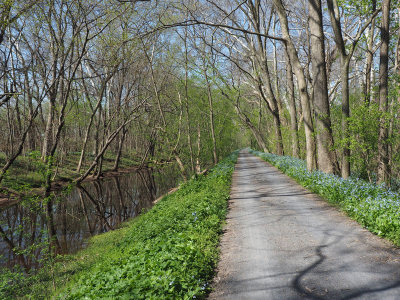 The trail in Spring