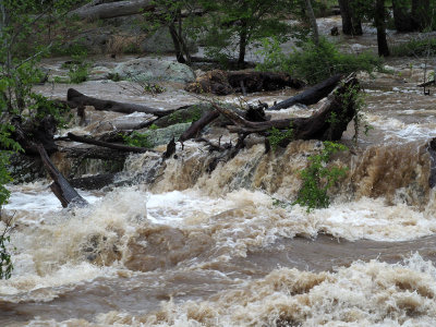 The flooded river at Great Falls