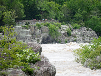 Viewing Great Falls from Virginia