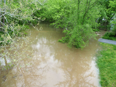 May 8th - Trail disappears in the flood