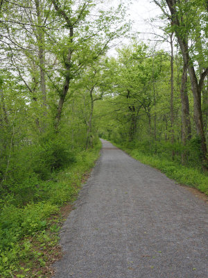 New trail surface