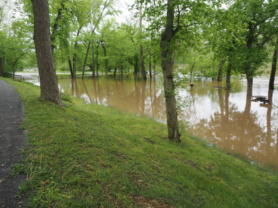 Flooded picnic area with parking lot beyond it