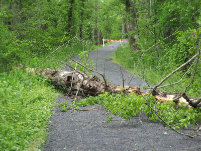 The blocked trail