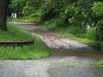 May 15th - Road to boat ramp at Nolands Ferry