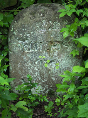 The historical mile marker at Violettes Lock