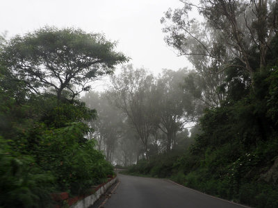 Early morning on the road up Nandi Hills