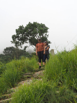 The Nandi Hills Trail