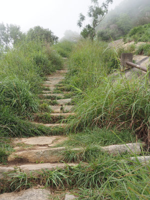 State of the Nandi Hills trail